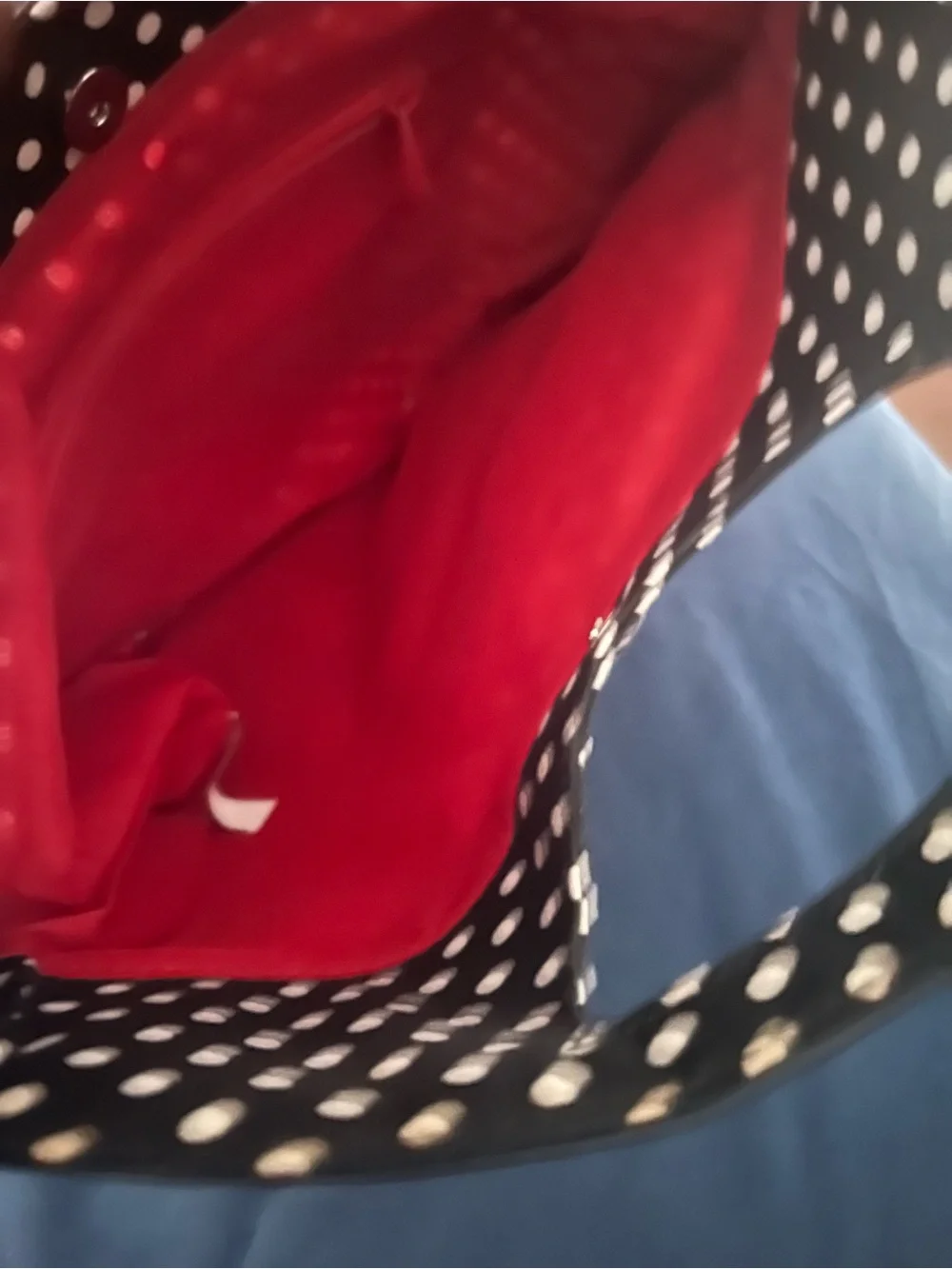 Sanrio Black and White Polka Dot Bag with Bright Red Interior